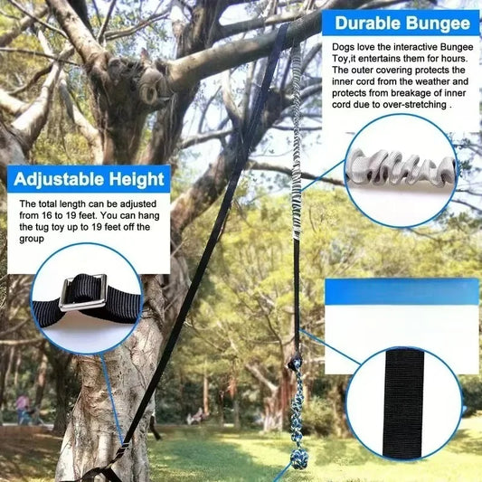 Outdoor Bungee Tug Toy, Dog Toy Hanging from - MyPetDollar.com