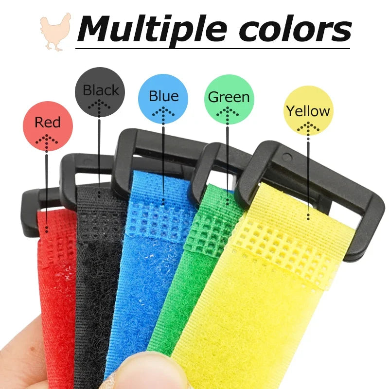 2Pcs No Crow Rooster Collar Chicken Collar - MyPetDollar.com