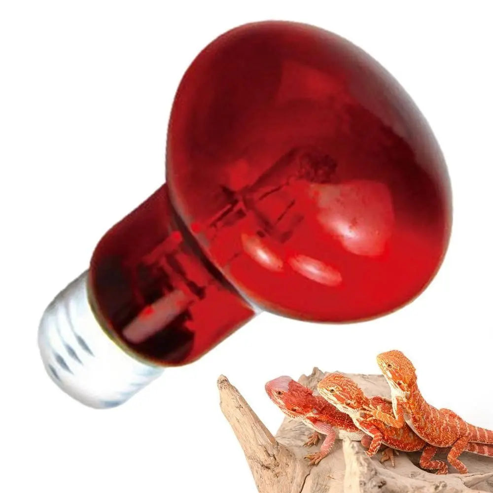 Night Light UVA Led Pet Heating Lamp - MyPetDollar.com