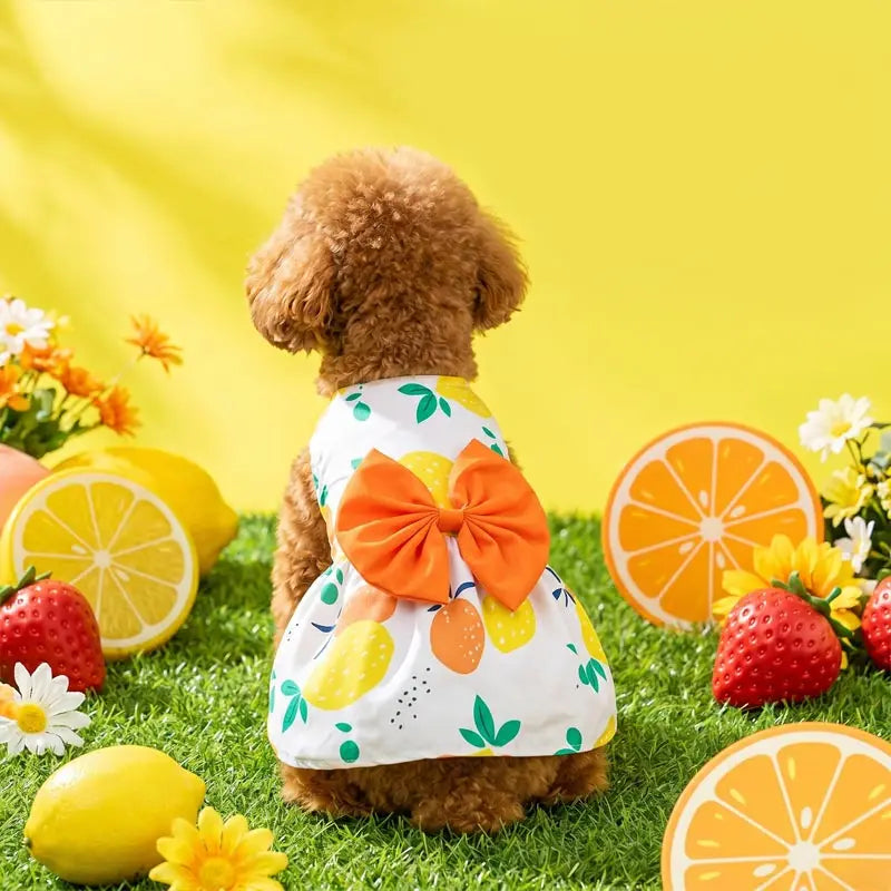 Small and Medium-sized Dogs, Spring and - MyPetDollar.com