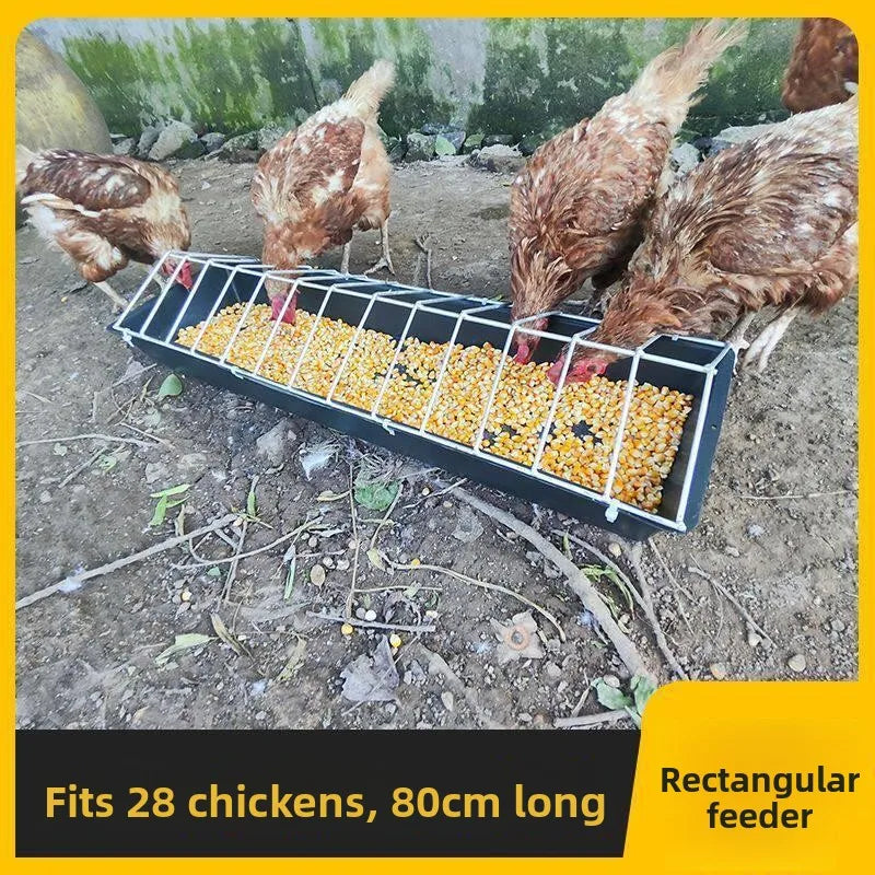 New Automatic Feeder Chicken Duck Goose - MyPetDollar.com