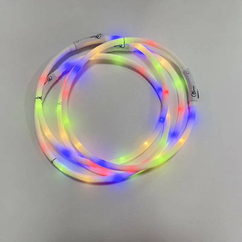 4 Modes Dog Luminou Charge Collar Led Usb - MyPetDollar.com
