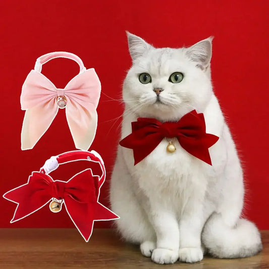 Pet Collar Exquisite Comfortable Decorative - MyPetDollar.com