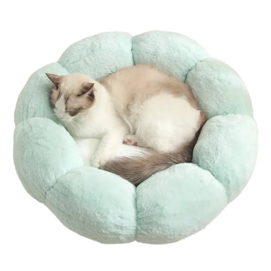 Comfortable Sleep Pet Bed Unique - MyPetDollar.com
