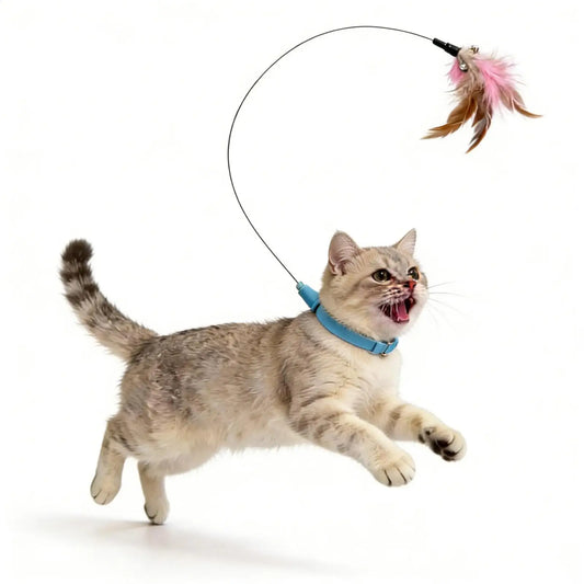 Feathers Plaything with Collar for Cat Teaser