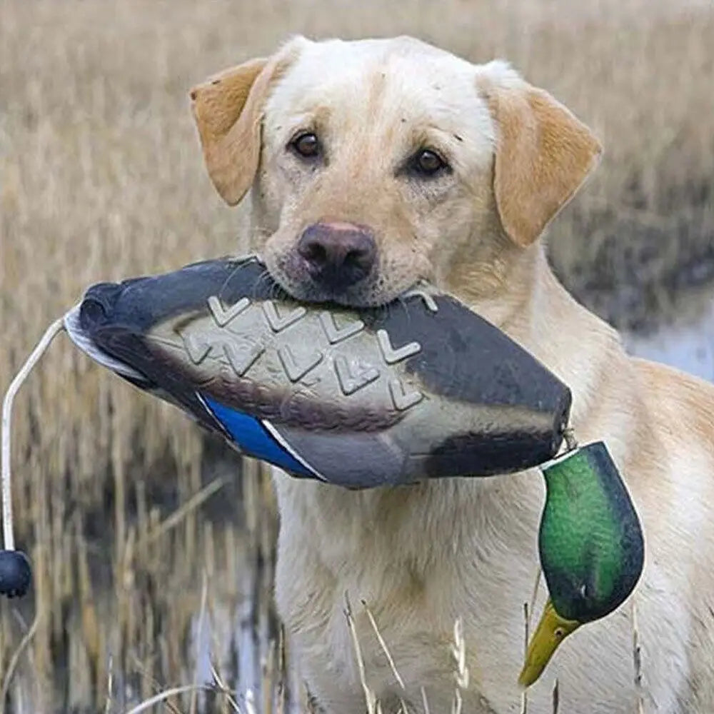 Mallard Duck Decoy Dog Training Toys For - MyPetDollar.com