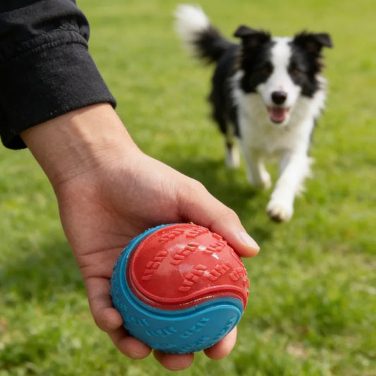 Dog Play Toy Rubber Glow Ball Indestructible - MyPetDollar.com