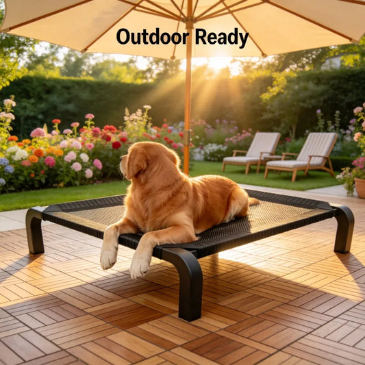 Military Sle Foldable Dog Bed All Season - MyPetDollar.com
