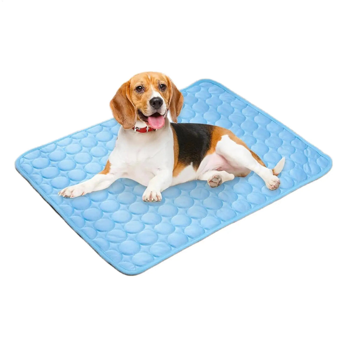 Pet Cooling Ice Silk Pads Dog Cooling Mat - MyPetDollar.com