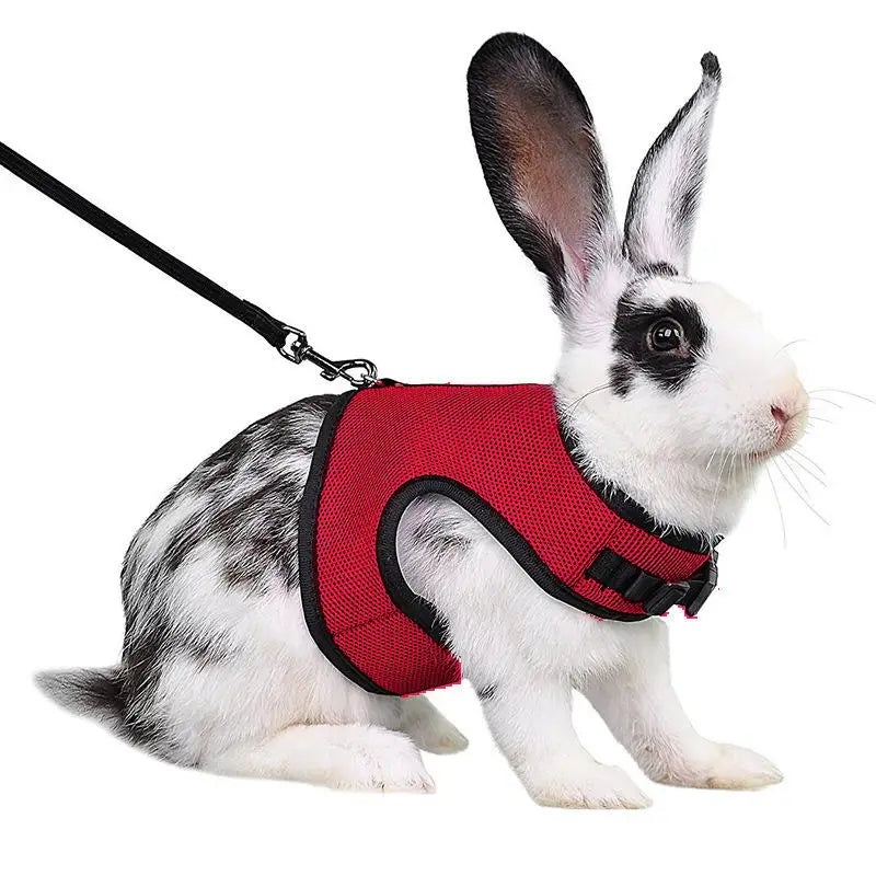 Harness with Leash Set for Rabbits - MyPetDollar.com