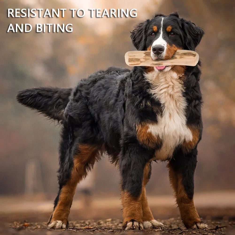 Pet Molar Stick Mumbies Wood Dog Chews Toy - MyPetDollar.com
