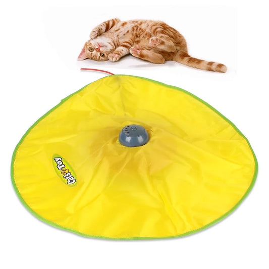 4 Speeds Motion Undercover Mouse Fabric - MyPetDollar.com