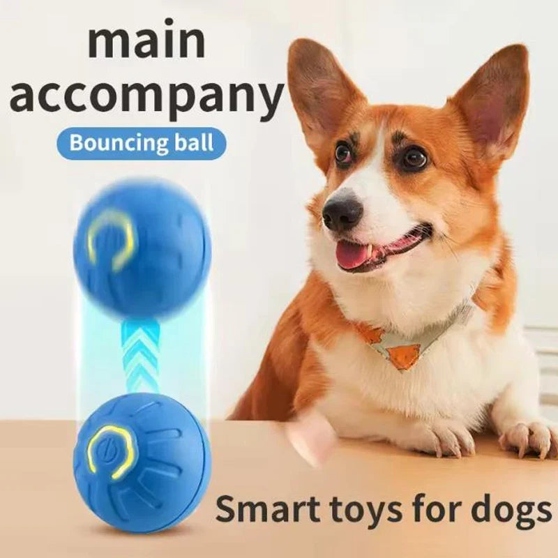 Hot Intelligent pet toy ball electronic pet - MyPetDollar.com