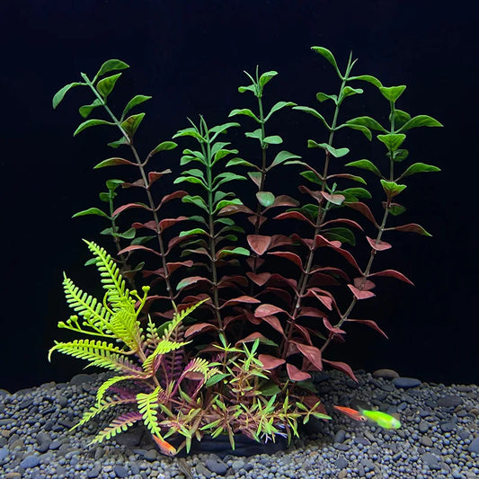 Artificial Aquarium Decor Plants Plastic - MyPetDollar.com