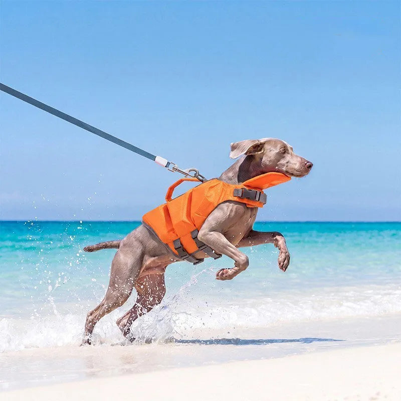 Summer Dog/Cat Life Jacket EPE Buoyancy Vest - MyPetDollar.com
