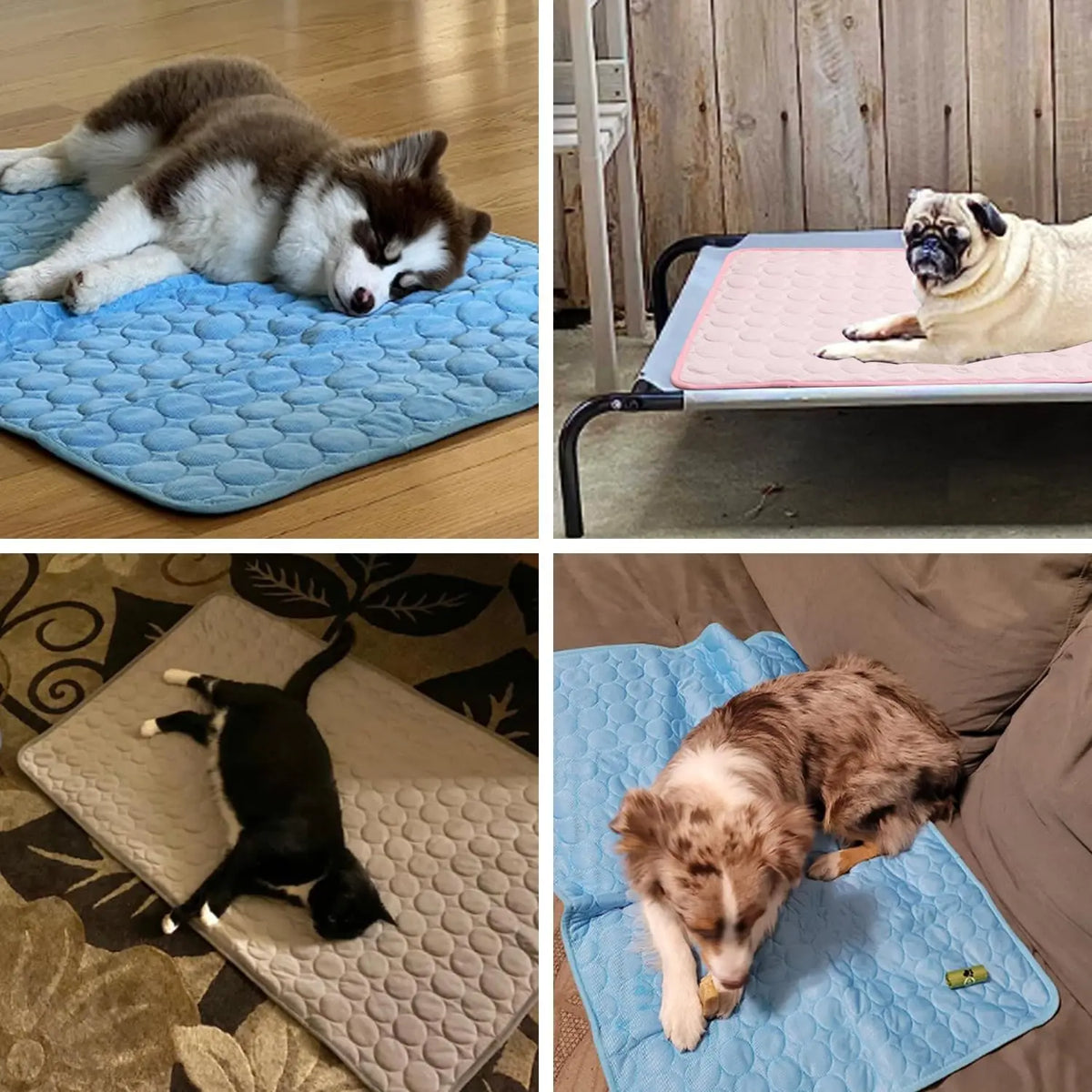 Summer Dog Cooling Mat&Sleeping Pad Reusable - MyPetDollar.com