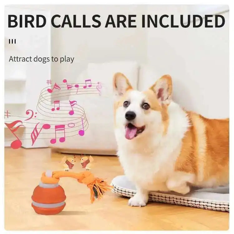 Smart Dog Toys Interactive Teasing Ball With - MyPetDollar.com