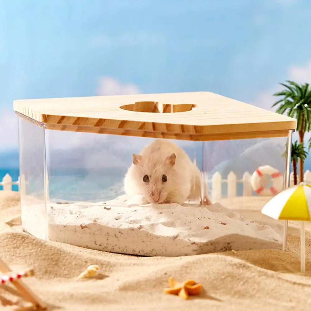 Hamster Golden Bear Sand Bath Box Acrylic - MyPetDollar.com