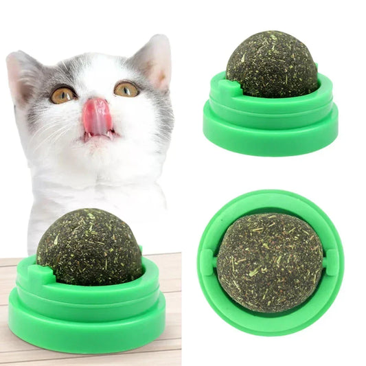 Natural Catnip Wall Mount Cat Scratching - MyPetDollar.com