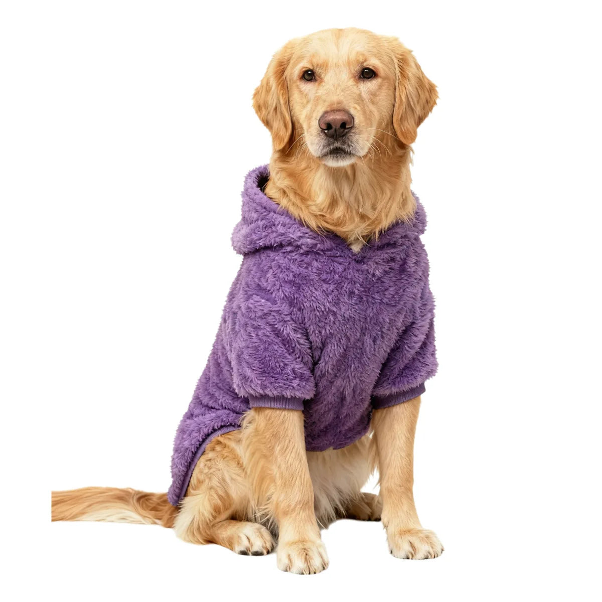 Labrador Golden Retriever Clothing Winter - MyPetDollar.com