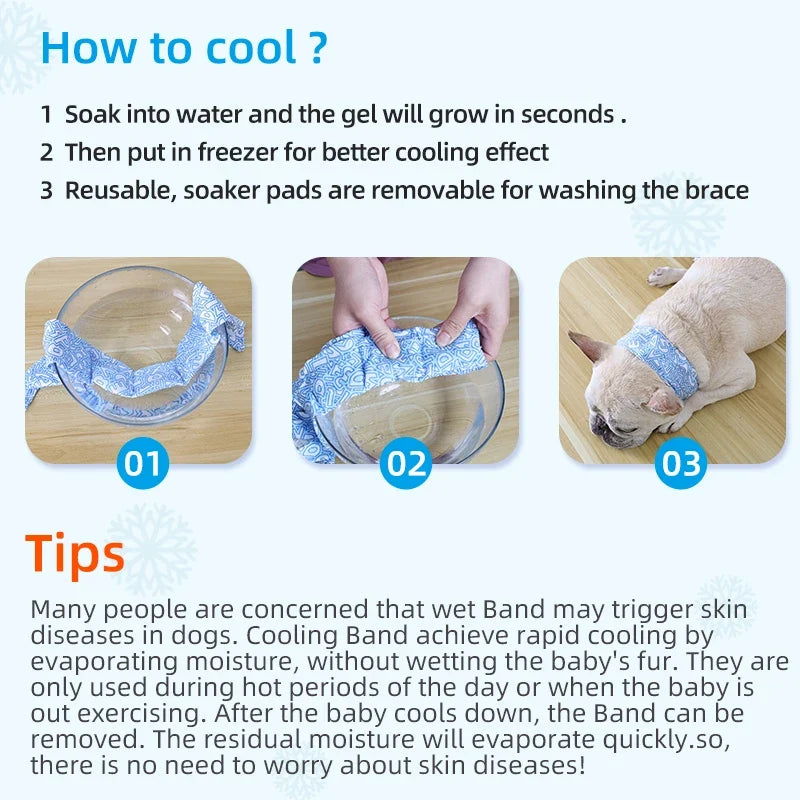 Pet Cooling Gel Neck Band Ice Collar for - MyPetDollar.com