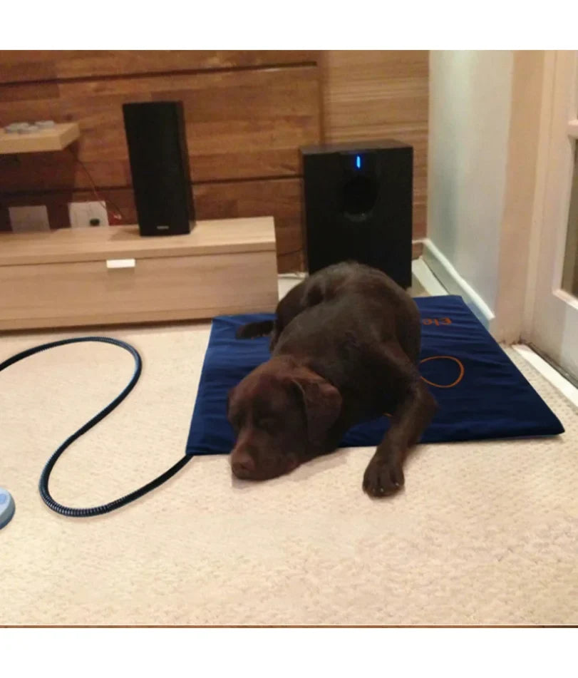 45×60cm Pet Electric Heating Pad Blanket Dog - MyPetDollar.com