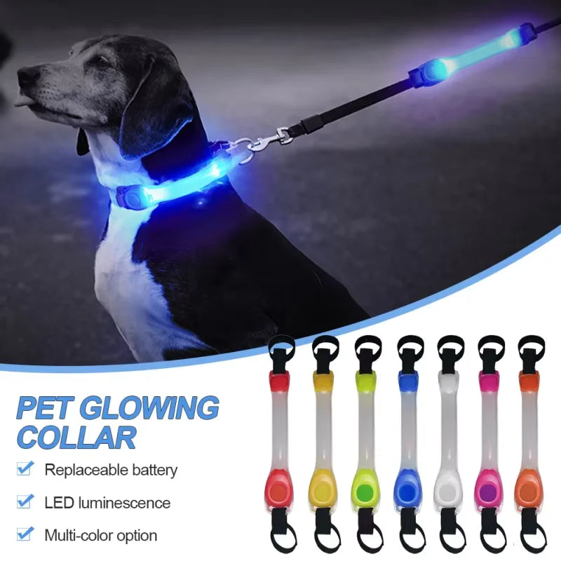 Dog Anti Lost Safety Glowing Collar - MyPetDollar.com