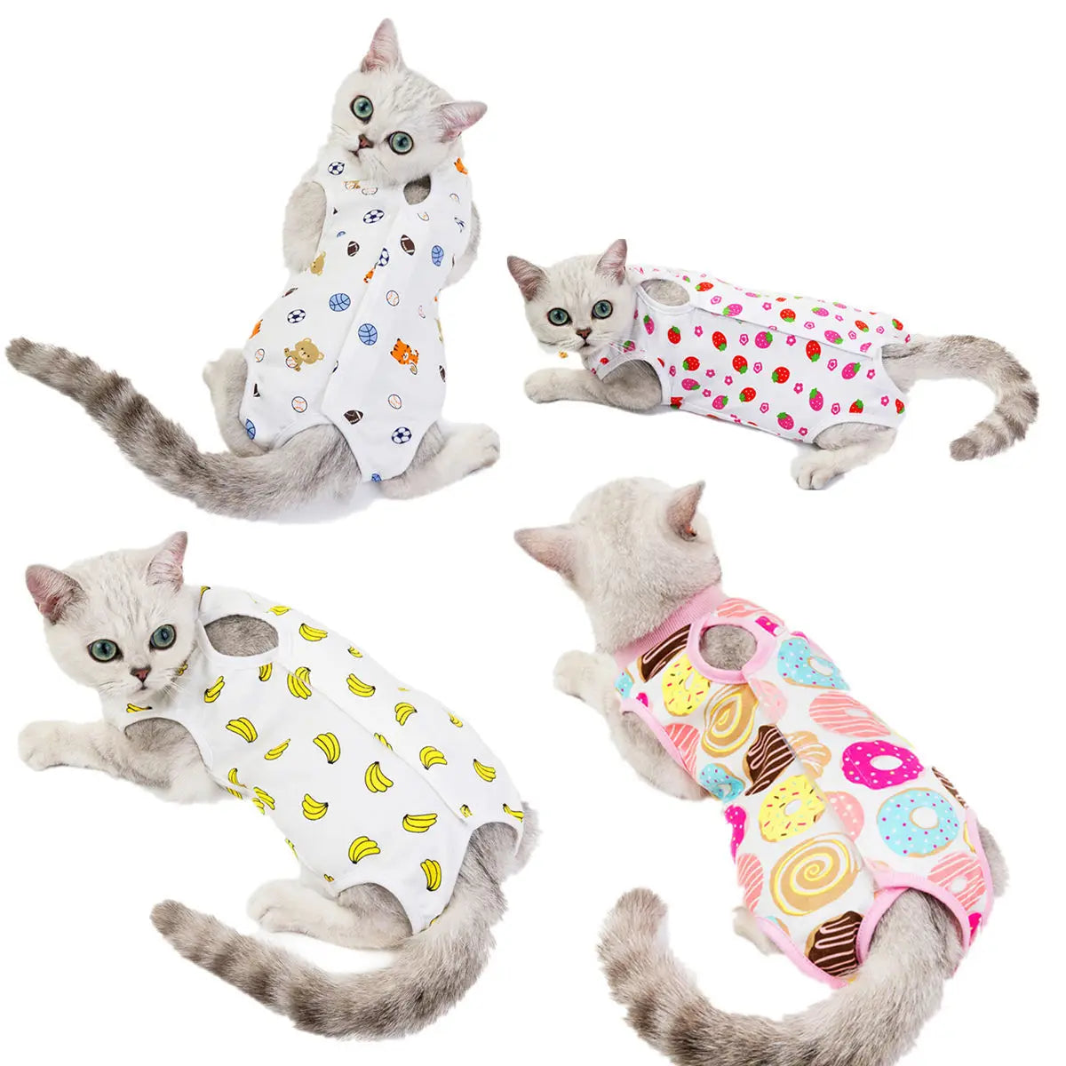 Cat Surgery Recovery - MyPetDollar.com