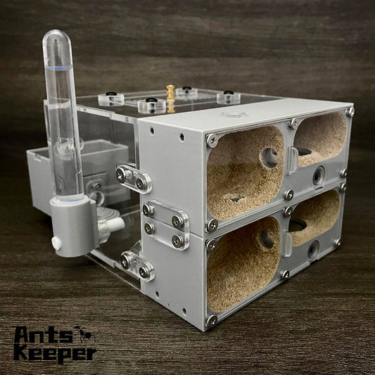 【Valley】Ant Farm for Myrmecocystus , fit for - MyPetDollar.com