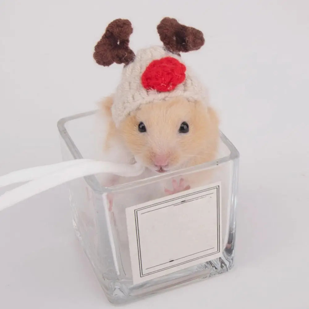 Portable Cartoon Hamster Hat Handmade Soft - MyPetDollar.com