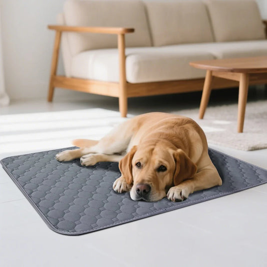 1pc Mesh Fabric Absorbent Cotton Pet Pee Pad - MyPetDollar.com