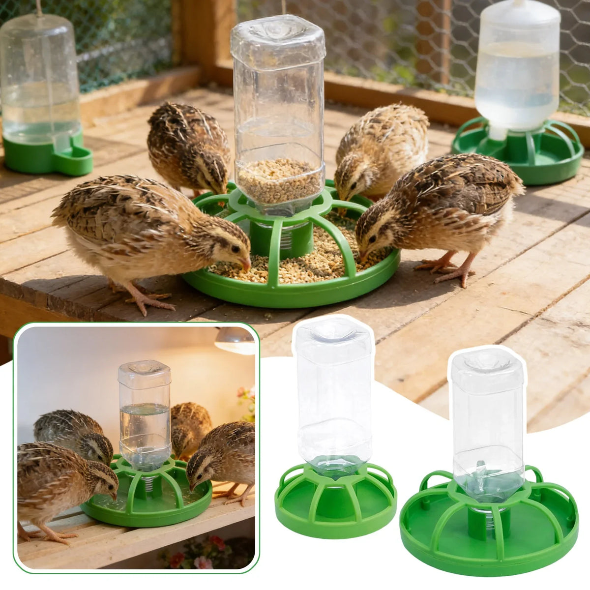 New Reptile Water Drinker Dispenser Food - MyPetDollar.com