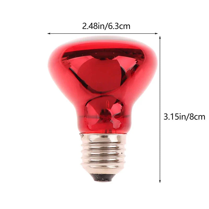 25/40/50/60/75/100W E27 UVA Poultry Bulb - MyPetDollar.com