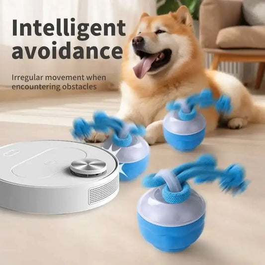 Interactive Dog Toys Smart Rolling Ball With - MyPetDollar.com