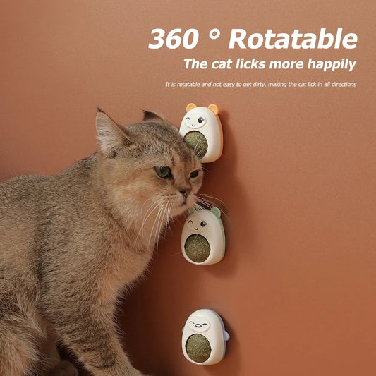 Plastic Catnip Ball Natural Safe Cats Catnip - MyPetDollar.com