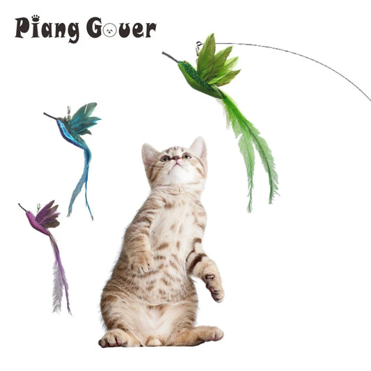 1p Simulation Bird Cat Toy Replaces Head Cat - MyPetDollar.com