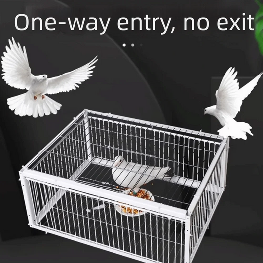 Thickened Pigeon Trap Cage 1/2/4 Entrances - MyPetDollar.com
