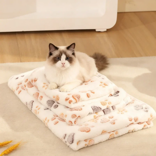 Winter High Quality Soft Fluffy Blanket Cute - MyPetDollar.com