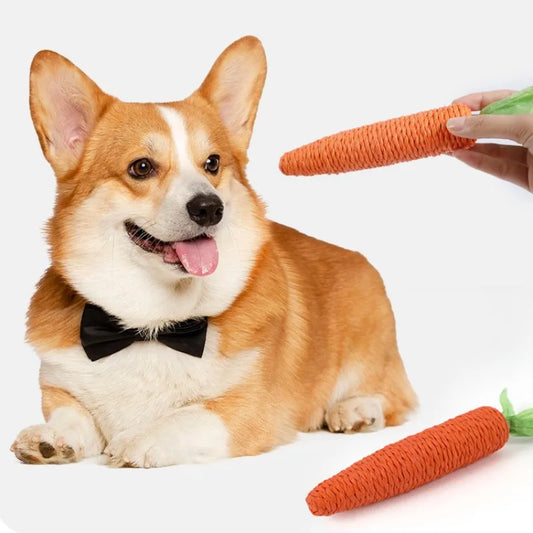 Dog Toys Cute Carrots Toys for Dogs Teeth - MyPetDollar.com