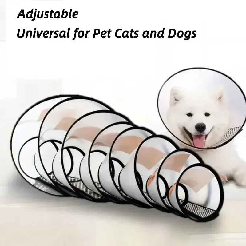 Pet Elizabeth Collar Puppy Anti Bite - MyPetDollar.com