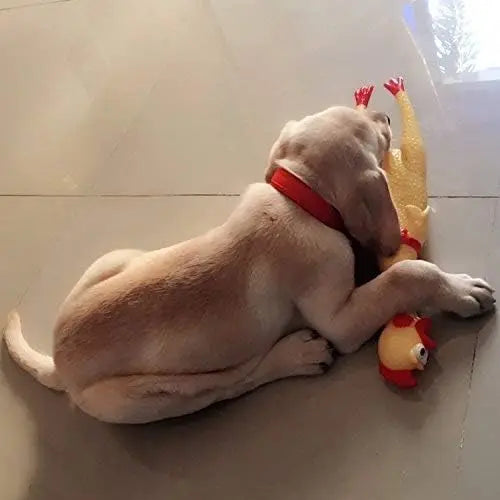 Screaming Chicken Dog Toys,Yellow Rubber - MyPetDollar.com