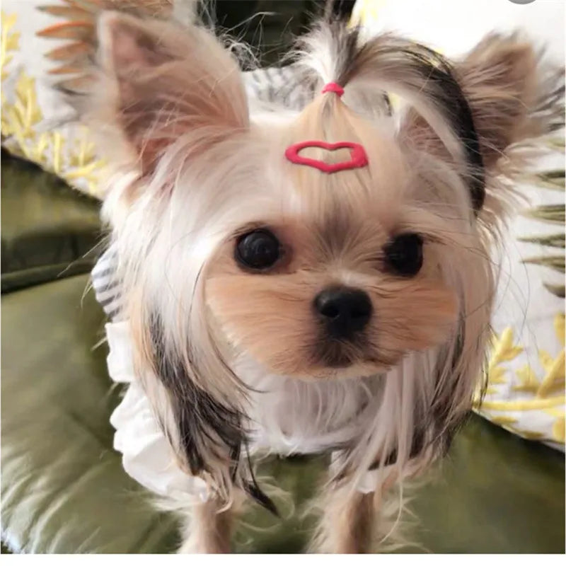 Mini Pet Dog Hairpin Metal Candy Color 2.5cm - MyPetDollar.com