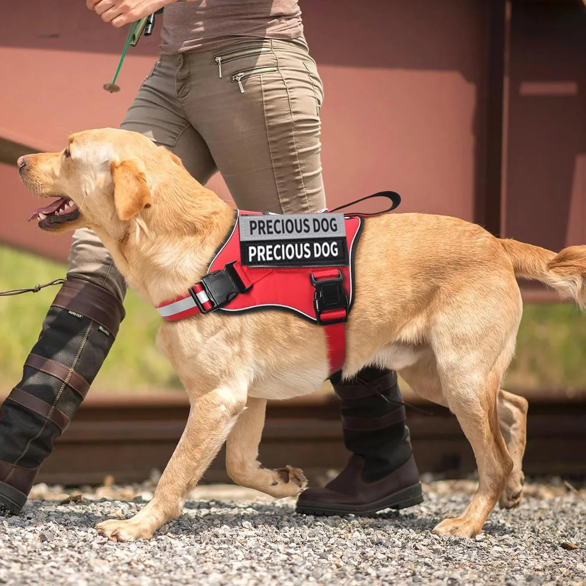 Dog Harness Reflective Breathable and - MyPetDollar.com