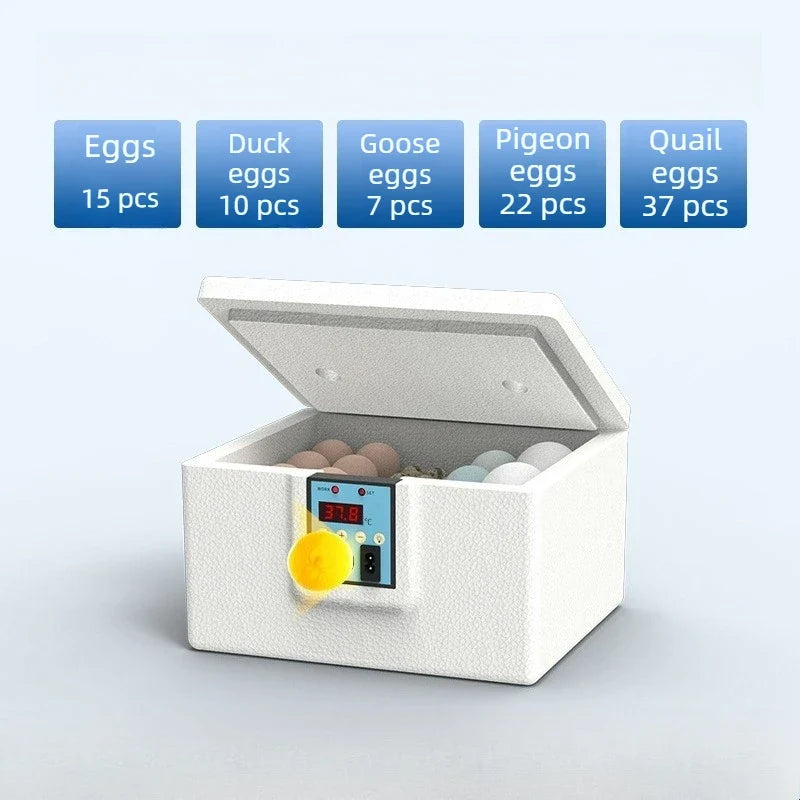 Waterbed Egg Incubator Provides Precise Temperature Control – Bird Supplies