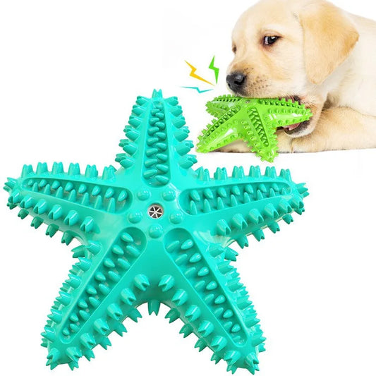 New Starfish Squeaky Dog Toy Durable Molar - MyPetDollar.com