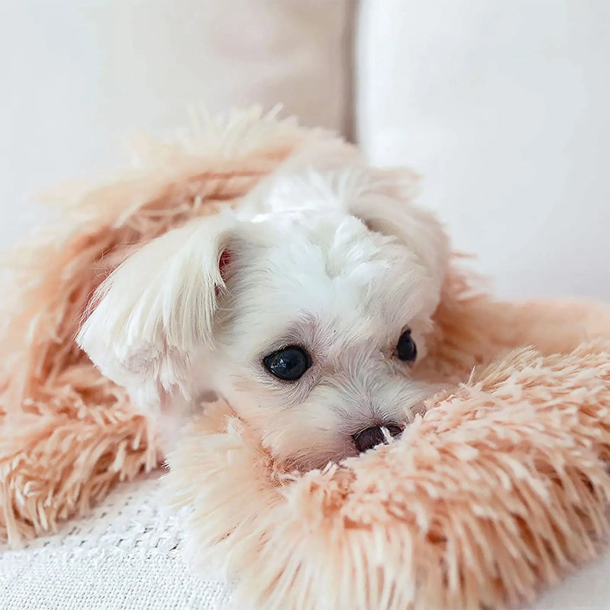 Warm Pet Sleep Mat Dog Cat Long Pile Nest - MyPetDollar.com