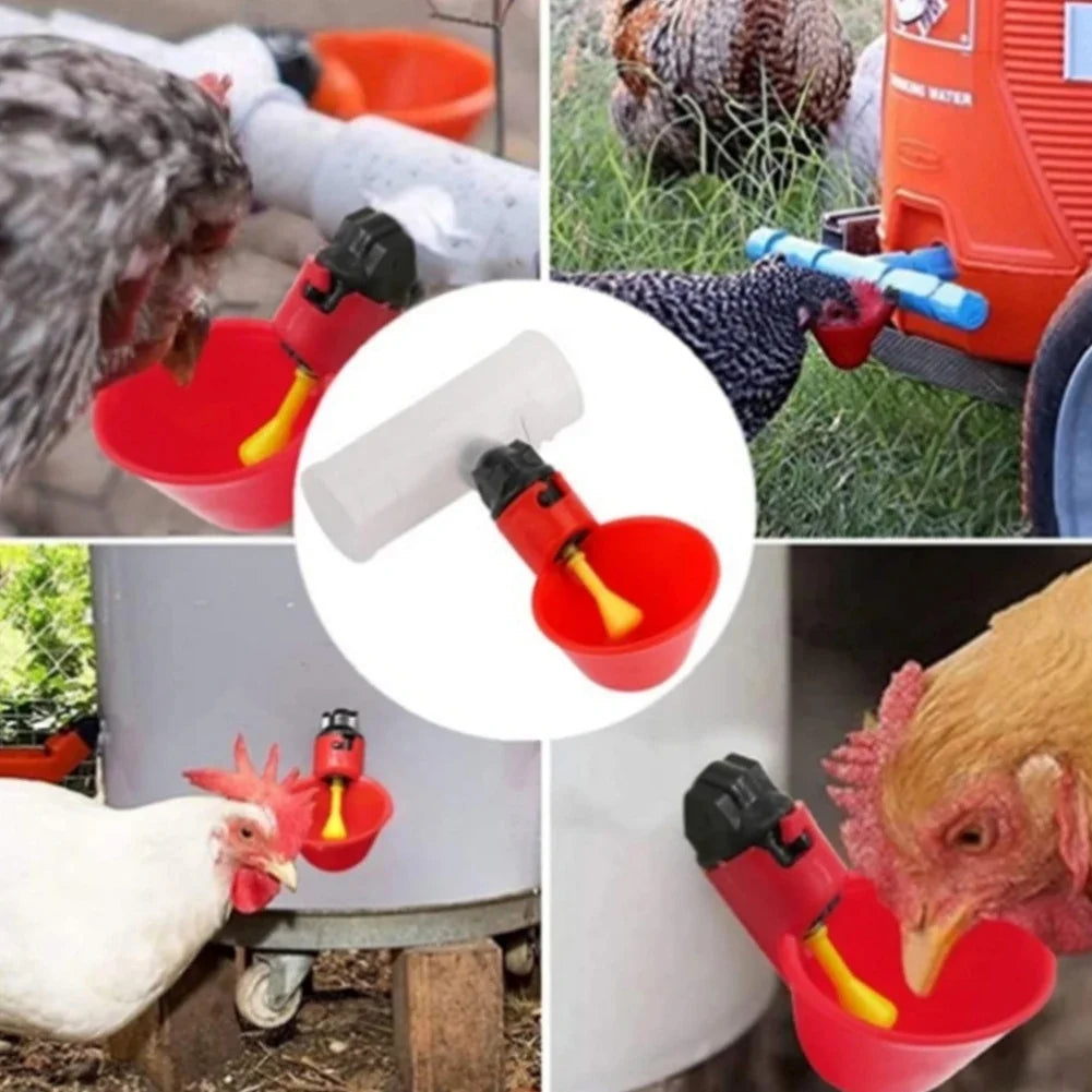 6-60PCS Automatic Chicken Quail Drinker Bowl - MyPetDollar.com