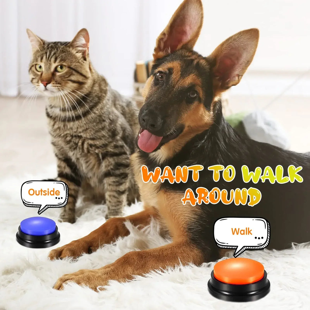 Voice Recording Button Pet Toys Dog Buttons - MyPetDollar.com