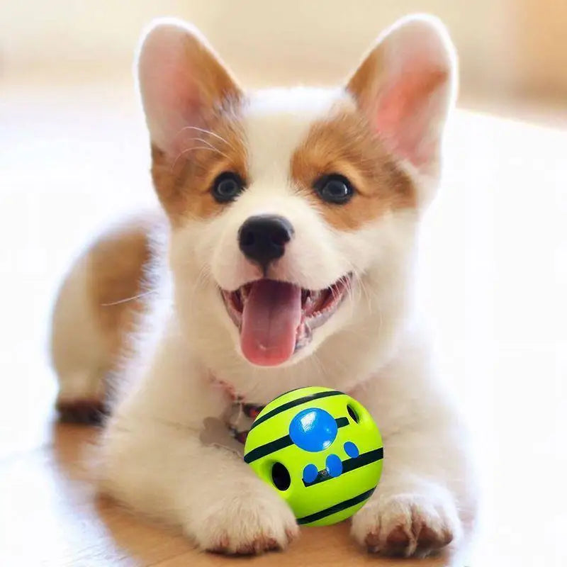 Wobble Wag Giggle Glow Ball Interactive Dog - MyPetDollar.com