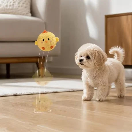 2/3pcs Pet Cat and Small Dogs Interactive - MyPetDollar.com